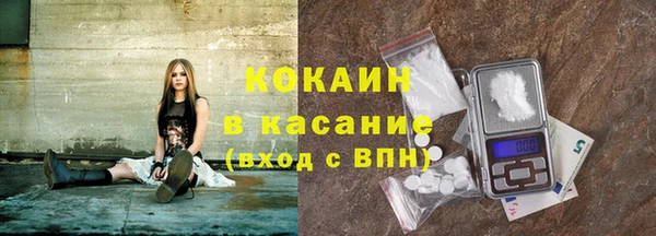 PSILOCYBIN Аркадак