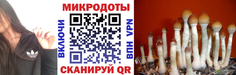 Псилоцибиновые грибы Magic Shrooms  blacksprut маркетплейс  Высоцк 